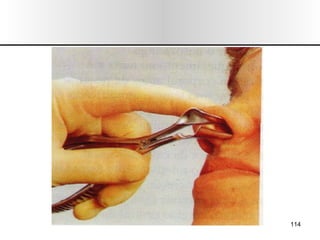 Nariz y senos paranasales