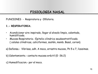 FISIOLOGIA NASAL FUNCIONES  -  Respiratoria y  Olfatoria. 1.- RESPIRATORIA. Acondicionar aire inspirado, llegar al alveolo limpio, calentado, humidificado.  Mucosa Respiratoria.- Epitelio cilindrico seudoestratificado. ( celulas cilindricas, caliciformes, sostén, memb. Basal, corion). a) Defensa.-  Vibrisas, adh. A moco, arrastre mucoso, Ph 5 a 7, lizosimas. b) Calentamiento.- contacto mucosa eréctil (0 -36.2) c) Humedificacion.- por el moco. 