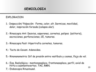 EXPLORACION 1.- Inspección/ Palpación:  Forma, color, alt. Dermicas, movilidad, dolor, inspiración forzada (colapso alar). 2.- Rinoscopia Ant: Desvios, esporones, cornetes, polipos  (solitario),  secreciones, perforaciones, CE, tumores. 3.- Rinoscopia Post: Hipertrofia cornetes, tumores. 4.- Tacto de Cavum: Adenoides. 5.- Rinonanometria: Dif de presión entre vestíbulo y coanas, flujo de vol. 6.- Exp. Radiológica : mentonasoplaca, frontonasoplaca, perfil, axial de Hirtz o submentovertex. TAC, RMN. 7.- Endoscopia Rinusinusal. 8.- Pruebas Alergologicas: pruebas cutaneas, eosinofilia, exudado nasal. SEMIOLOGIA 