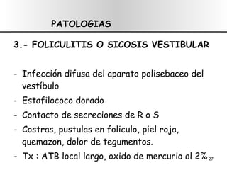 3.- FOLICULITIS O SICOSIS VESTIBULAR Infección difusa del aparato polisebaceo del vestíbulo E stafilococo dorado Contacto de secreciones de R o S C ostras, pustulas en foliculo, piel roja, quemazon, dolor de tegumentos. T x : ATB local largo, oxido de mercurio al 2%  PATOLOGIAS 