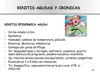 RINITIS AGUDAS Y CRONICAS RINITIS EPIDERMICA AGUDA Coriza simple ciclica  Epidemica Humedad, cambios de temperatura, polución. Rinovirus, Mixovirus, Adenovirus. Contagio por gotas de Pfluge Sx: Sequedad nasal y faringea, subfiebre, cansancio, prurito nasal obstrucción progresiva, anosmia mecánica reversible. Sg: rinorrea serosa-mucosa-mucopurulenta, cornetes congestivos Evolución en 2 a 5 días con resolución. Tx: Inespecífico, vasoconstrictores local u oral, ATB  si infección. 