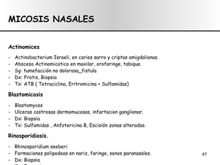 MICOSIS NASALES Actinomices -  Actinobacterium Israeli, en caries sarro y criptas amigdalianas. -  Absceso Actinomicotico en maxilar, orofaringe, tabique. -  Sg: tumefacción no dolorosa_fistula -  Dx: Frotis, Biopsia -  Tx: ATB ( Tetraciclina, Eritromicina + Sulfamidas) Blastomicosis -  Blastomyces -  Ulceras costrosas dermomucosas, infartacion ganglionar. -  Dx: Biopsia -  Tx: Sulfamidas , Anfotericina B, Escisión zonas alteradas. Rinosporidiosis. -  Rhinosporidium seeberi -  Formaciones polipodeas en nariz, faringe, senos paranasales. -  Dx: Biopsia -  Tx: Exeresis 