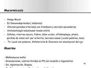 Mucormicosis -  Hongo Mucor -  En Inmunodeprimidos ( diabetes) -  Afectan paredes arteriales con trombosis y necrosis secundarias -  Sintomatología nasosinusal invade orbita -  Cefalea, rinorrea oscura, fiebre, dolor ocular, oftalmoplegia, ptosis, perdida de vision unil. por arteritis, necrosis oseas ( ocular,palatino, max) Tx: Local con yoduros, Anfotericina B, Exeresis con enucleacion del ojo. Muermo - Malleomyces mallei - Granulaciones, costras fetidas en FN con invasión a tegumentos - Dx: Aglutinación, Biopsia. - Tx: Estreptomicina + Tretaciclina y Sulfamidas. 