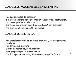 SINUSITIS MAXILAR AGUDA CATARRAL - Por Coriza, baños de inmersión - Sx: Cefalea interciliar o suborbitario vespertino, obstrucción, rinorrea purulenta unilateral - Ex: Dolor por presión local, Bloqueo de MM con secreción - Tx: Vasoconstrictores, ATB, Sedantes. SINUSITIS DENTARIA - Por granuloma apical del segundo premolar y los dos primeros molares - Por extracción dentaria - Germen Anaerobios, polimicrobiano - Dlor gingivoyugal + rinorrea fetida - Tx: Extirpación dentaria, ATB intensa, luego Tx fistula 