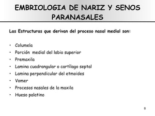EMBRIOLOGIA DE NARIZ Y SENOS PARANASALES Las Estructuras que derivan del proceso nasal medial son: Columela Porción  medial del labio superior Premaxila Lamina cuadrangular o cartílago septal Lamina perpendicular del etmoides Vomer  Procesos nasales de la maxila Hueso palatino 