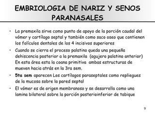 EMBRIOLOGIA DE NARIZ Y SENOS PARANASALES La premaxila sirve como punto de apoyo de la porción caudal del vómer y cartílago septal y también como saco oseo que contienen los folículos dentales de los 4 incisivos superiores Cuando se cierra el proceso palatino queda una pequeña dehiscencia posterior a la premaxila  (agujero palatino anterior) En esta área esta la coana primitiva  ambas estructuras de mueven hacia atrás en la 3ra sem. 5ta sem  aparecen Los cartílagos paraseptales como repliegues de la mucosa sobre la pared septal El vómer es de origen membranoso y se desarrolla como una lamina bilateral sobre la porción posterioinferior de tabique 