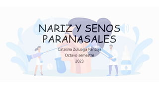NARIZ Y SENOS
PARANASALES
Catalina Zuluaga Pantoja
Octavo semestre
2023
 