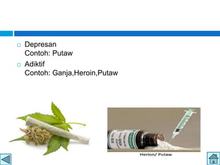  Depresan
Contoh: Putaw
 Adiktif
Contoh: Ganja,Heroin,Putaw
 