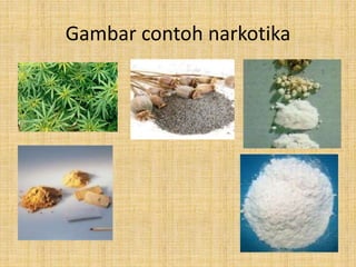 Gambar contoh narkotika
 