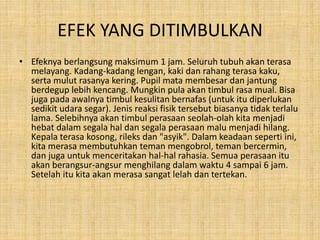 EFEK YANG DITIMBULKAN
• Efeknya berlangsung maksimum 1 jam. Seluruh tubuh akan terasa
melayang. Kadang-kadang lengan, kaki dan rahang terasa kaku,
serta mulut rasanya kering. Pupil mata membesar dan jantung
berdegup lebih kencang. Mungkin pula akan timbul rasa mual. Bisa
juga pada awalnya timbul kesulitan bernafas (untuk itu diperlukan
sedikit udara segar). Jenis reaksi fisik tersebut biasanya tidak terlalu
lama. Selebihnya akan timbul perasaan seolah-olah kita menjadi
hebat dalam segala hal dan segala perasaan malu menjadi hilang.
Kepala terasa kosong, rileks dan "asyik". Dalam keadaan seperti ini,
kita merasa membutuhkan teman mengobrol, teman bercermin,
dan juga untuk menceritakan hal-hal rahasia. Semua perasaan itu
akan berangsur-angsur menghilang dalam waktu 4 sampai 6 jam.
Setelah itu kita akan merasa sangat lelah dan tertekan.
 