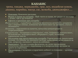 КАНАБИС     трева, ганджа, мериджейн, грас, коз, индийски коноп, джанка, марийка, масур, сас, жожоба, джинджифил..... Описание:  Конопено растение.  Форми и начин на употреба  - Най–често се пуши, по–рядко се поглъща с мляко, чай и др.течности. Ефекти и признаци при употреба: Физиологични  – сърцебиене, понижена физическа активност, зачервени очи с широки зеници, повишена чувствителност на зрението, слуха и обонянието. Психични  – нарушения на паметта, намалена концентрация и съсредоточаване Емоционални  – безгрижие и отпуснатост, смях, бъбривост, мечтателност, безпокойство, подозрителност, обърканост, страх, възможни параноидни мисли. Последици при продължителна употреба:  Увреждания на дихателните пътища, отслабване на имунната система, намаляване на желанието за секс, депресия, пасивност, липса на амбиции. Зависимост:  Трудно създава физическа, но лесно предизвиква психическа зависимост, изразяваща се   в непреодолимо желание за прием на наркотика. Предозиране:  Смущения в сърдечната дейност и стомашно – чревния тракт. 