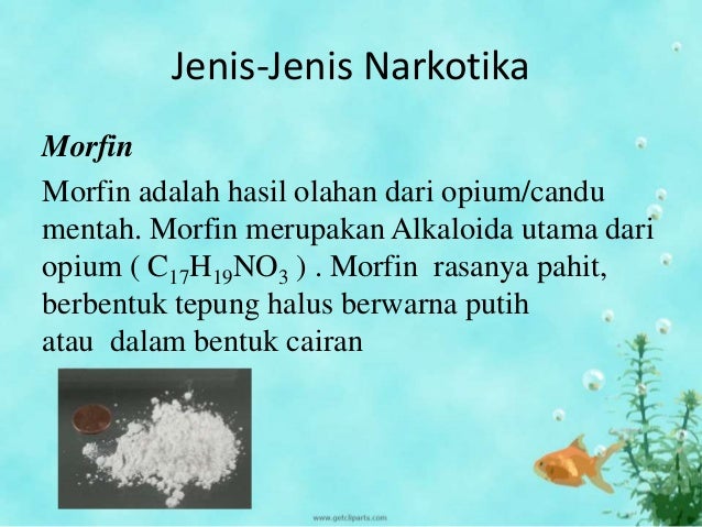 Narkoba, Psikotropika, dan Dampak bagi Pemakainya