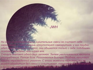 JWH
Ни один из употребляющих курительные смеси не считает себя
наркоманом. У него напрочь отсутствует самокритика, у них трудно
идет мыслительный процесс, они общаются только с себе подобными,
поэтому убеждены, что курят все.
Сначала хватает одной-двух затяжек. Затем увеличивается частота
употребления. Потом доза. Разгоняются быстро. Позднее, начинают
курить неразведенный реагент. С этого момента наркоман уже не
может обходиться без смеси и испытывает невероятный дискомфорт
и беспокойство, если наркотика нет при себе.
 