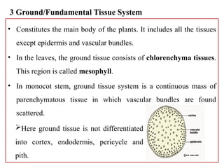 lecture note used as reference for students | PPTX