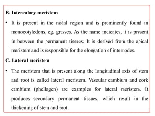 Example Intercalcary Chapter lecture note used as reference for students | PPTX