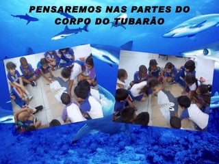 PENSAREMOS NAS PARTES DO CORPO DO TUBARÃO 