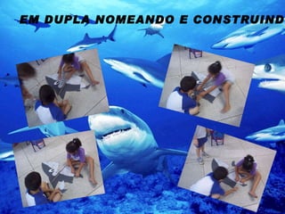 EM DUPLA NOMEANDO E CONSTRUINDO   