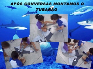 APÓS CONVERSAS MONTAMOS O TUBARÃO   