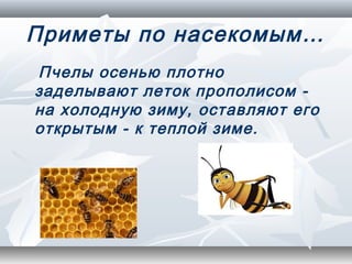 Приметы по насекомым…
Пчелы осенью плотно
заделывают леток прополисом -
на холодную зиму, оставляют его
открытым - к теплой зиме.
 