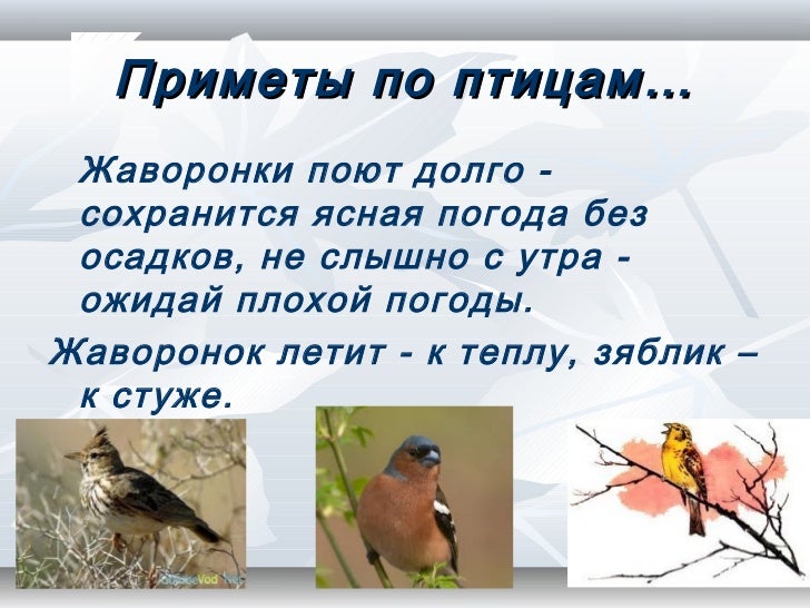 Погода арчединская волгоградской области