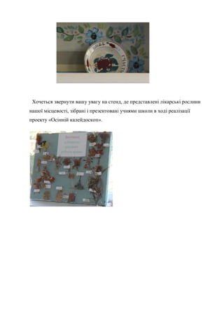Хочеться звернути вашу увагу на стенд, де представлені лікарські рослини
нашої місцевості, зібрані і презентовані учнями школи в ході реалізації
проекту «Осінній калейдоскоп».
 
