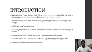INTRODUCTION
 Narora Atomic Power Station (NAPS) is a nuclear power plant located in the bank of
river Ganga, Narora, Bulandshahar District in Uttar Pradesh, India.
 Narora atomic power plant is involved in generating electricity by utilizing nuclear
energy.
 Laid down on 4th January 1974.
 The heat generated due to fission of natural Uranium is removed by circulating D2O
coolent.
 It has 2 natural draft cooling tower and 2 induced draft cooling tower.
 The plant house has 2 reactor and each has a capability of producing 220 MW
 It has been placed under IAEA monitoring
 