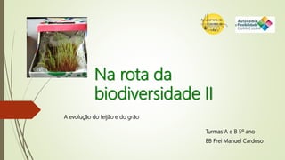 Na rota da
biodiversidade II
A evolução do feijão e do grão
Turmas A e B 5º ano
EB Frei Manuel Cardoso
 