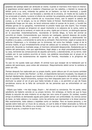 golpeteo del postigo debió ser atribuido al viento. Cuando el marinero miró hacia el interior,
el gigantesco animal agarró a madame L'Espanaye por los cabellos, y blandió la navaja de
afeitar junto a su cara, imitando los gestos de un barbero. La hija se desmayó, y quedó
tendida en el piso, inmóvil. Los forcejeos y alaridos de la anciana, en medio de los cuales le
fue arrancado el cabello, tuvieron el efecto de cambiar los propósitos pacíficos del orangután,
por la cólera. Con un gesto violento de su musculoso brazo, casi le separó la cabeza del
cuerpo, y, al ver la sangre, su ira se inflamó hasta el frenesí. Rechinándole los dientes, y
despidiendo fuego por los ojos, se lanzó entonces sobre el cuerpo de la joven, y hundió las
afiladas garras en su garganta, manteniendo la presión hasta que ella expiró. Sus miradas
extraviadas y salvajes se dirigieron en aquel momento a la cabecera de la cama, sobre la
cual, al otro lado de la ventana, el rostro de su amo, rígido por el horror, se distinguía apenas
en la oscuridad. Instantáneamente, recordando el temido látigo, la furia del animal se
convirtió en miedo. Comprendiendo que merecía ser castigado, pareció deseoso de ocultar
sus sangrientas acciones, y comenzó a saltar por la sala, derribando y destrozando los
muebles a su paso, y arrancando la cama de su armazón. Para terminar, cogió el cuerpo de la
señorita L'Espanaye, y lo introdujo por la chimenea, tal como fue hallado. Luego el de la
anciana madre, el que inmediatamente arrojó de cabeza por la ventana. Cuando el mono se
acercó allí, llevando su mutilada carga, el marinero retrocedió despavorido. Resbalando por la
cadena del pararrayos, más que agarrándose, llegó abajo y se alejó precipitadamente hacia
su casa, temiendo las consecuencias de aquella carnicería, y abandonando, en su terror, todo
cuidado por lo que pudiera ocurrirle al mono. Las palabras escuchadas por el grupo en la
escalera, eran las exclamaciones de espanto del francés, mezcladas a la jerigonza del
orangután.

Ya casi no me queda nada que añadir. El animal tuvo que escapar de la habitación por la
cadena del pararrayos, poco antes del amanecer. Maquinalmente debió cerrar la ventana al
pasar por ella.

Tiempo después fue capturado por su propio dueño, quien obtuvo por él una buena cantidad
de dinero en el "Jardin des Plantes". Le Bon, el dependiente bancario inculpado, fue dejado en
libertad rápidamente, después que nosotros contamos en el despacho del prefecto de policía
todo lo sucedido. Aquel funcionario, aunque muy bien dispuesto para con mi amigo, no pudo
disimular su pesar al ver el giro que había tomado el caso, y se permitió un par de frases
sarcásticas acerca de la falta de corrección de las personas que se entrometían en sus
funciones.

—Déjelo que hable —me dijo luego, Dupin—. Así aliviará su conciencia. Por mi parte, estoy
satisfecho de haberlo vencido en su propio terreno. Sin embargo, el hecho de que le haya
fallado la solución de este misterio no es algo tan raro como él supone. En verdad, nuestro
amigo el prefecto es demasiado agudo para poder pensar con profundidad. Su ciencia carece
de base; es toda cabeza y no cuerpo, como las pinturas que representan a la diosa Laverna.
Más exactamente, toda cabeza y espaldas como un bacalao. Pero es buena persona, y me
agrada sobre todo por un truco de su astucia, al cual le debe el haber alcanzado su fama de
hombre de talento. Me refiero a su manera de "nier ce qui est, et d'expliquer ce qui n'est pas"
(negar lo que es, y explicar lo que no es).
 