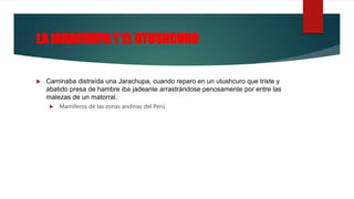 LA JARACHUPA Y EL UTUSHCURO
 Caminaba distraída una Jarachupa, cuando reparo en un utushcuro que triste y
abatido presa de hambre iba jadeante arrastrándose penosamente por entre las
malezas de un matorral.
 Mamíferos de las zonas andinas del Perú
 
