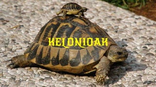 KELONIOAK
 