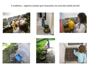 E cuidamos… regamos sempre que necessário, era uma das tarefas do dia!
 