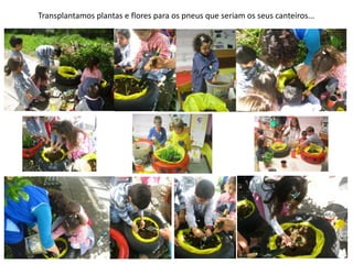 Transplantamos plantas e flores para os pneus que seriam os seus canteiros...
 