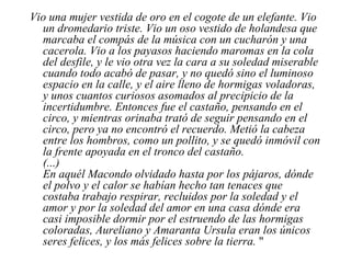 Vio una mujer vestida de oro en el cogote de un elefante. Vio un dromedario triste. Vio un oso vestido de holandesa que marcaba el compás de la música con un cucharón y una cacerola. Vio a los payasos haciendo maromas en la cola del desfile, y le vio otra vez la cara a su soledad miserable cuando todo acabó de pasar, y no quedó sino el luminoso espacio en la calle, y el aire lleno de hormigas voladoras, y unos cuantos curiosos asomados al precipicio de la incertidumbre. Entonces fue el castaño, pensando en el circo, y mientras orinaba trató de seguir pensando en el circo, pero ya no encontró el recuerdo. Metió la cabeza entre los hombros, como un pollito, y se quedó inmóvil con la frente apoyada en el tronco del castaño.  (...) En aquél Macondo olvidado hasta por los pájaros, dónde el polvo y el calor se habían hecho tan tenaces que costaba trabajo respirar, recluidos por la soledad y el amor y por la soledad del amor en una casa dónde era casi imposible dormir por el estruendo de las hormigas coloradas, Aureliano y Amaranta Ursula eran los únicos seres felices, y los más felices sobre la tierra.  " 