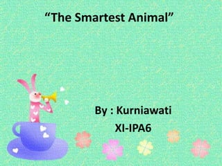 “The Smartest Animal” By : Kurniawati XI-IPA6 