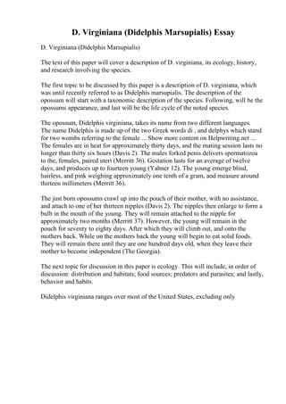 D. Virginiana (Didelphis Marsupialis) Essay
D. Virginiana (Didelphis Marsupialis)
The text of this paper will cover a description of D. virginiana, its ecology, history,
and research involving the species.
The first topic to be discussed by this paper is a description of D. virginiana, which
was until recently referred to as Didelphis marsupialis. The description of the
opossum will start with a taxonomic description of the species. Following, will be the
opossums appearance, and last will be the life cycle of the noted species.
The opossum, Didelphis virginiana, takes its name from two different languages.
The name Didelphis is made up of the two Greek words di , and delphys which stand
for two wombs referring to the female ... Show more content on Helpwriting.net ...
The females are in heat for approximately thirty days, and the mating session lasts no
longer than thirty six hours (Davis 2). The males forked penis delivers spermatozoa
to the, females, paired uteri (Merritt 36). Gestation lasts for an average of twelve
days, and produces up to fourteen young (Yahner 12). The young emerge blind,
hairless, and pink weighing approximately one tenth of a gram, and measure around
thirteen millimeters (Merritt 36).
The just born opossums crawl up into the pouch of their mother, with no assistance,
and attach to one of her thirteen nipples (Davis 2). The nipples then enlarge to form a
bulb in the mouth of the young. They will remain attached to the nipple for
approximately two months (Merritt 37). However, the young will remain in the
pouch for seventy to eighty days. After which they will climb out, and onto the
mothers back. While on the mothers back the young will begin to eat solid foods.
They will remain there until they are one hundred days old, when they leave their
mother to become independent (The Georgia).
The next topic for discussion in this paper is ecology. This will include, in order of
discussion: distribution and habitats; food sources; predators and parasites; and lastly,
behavior and habits.
Didelphis virginiana ranges over most of the United States, excluding only
 