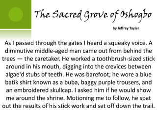 The Sacred Grove of Oshogbo
                                            by Jeffrey Tayler


 As I passed through the gates I heard a squeaky voice. A
 diminutive middle-aged man came out from behind the
trees — the caretaker. He worked a toothbrush-sized stick
  around in his mouth, digging into the crevices between
  algae'd stubs of teeth. He was barefoot; he wore a blue
 batik shirt known as a buba, baggy purple trousers, and
  an embroidered skullcap. I asked him if he would show
  me around the shrine. Motioning me to follow, he spat
out the results of his stick work and set off down the trail.
 