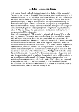 Cellular Respiration Essay
1. Is glucose the only molecule that can be catabolized during cellular respiration?
Why do we use glucose as the model? Besides glucose, other carbohydrates, as well
as fats and proteins, can be catabolized in cellular respiration. We refer to glucose in
the model because, in the reaction of glycolysis, the point of it is the breakdown of
glucose (the sugar). 2. Why do hydrogen atoms accompany electrons as they are
transferred in biological systems? Electrons are accompanied by hydrogen atoms
because of their opposite charges. Because electrons have a negative one change for
each, and the hydrogens are carrying one proton, both particles are pulled to each
other. 3. Why is it thought that glycolysis is the first catabolic pathway to... Show
more content on Helpwriting.net ...
Can a cell produce enough ATP to persist by using glycolysis alone? Why or why
not? No, it can not. Through the process of glycolysis, there can only be a net total
of 2 ATP molecules created. However, when you include aerobic pathways like
oxidative phosphorylation, 34 more ATP molecules are created. 5. Why do anaerobic
cellular systems use fermentation? What would happen if they didn t? Anaerobic
cellular systems use fermentation to recycle NADH to NAD+. Without the presence
of fermentation, anaerobic pathways can no longer continue to process. NAD+ is
used as an electron acceptor and indirectly caused the hydrogens to cross over from
molecules to molecules. Without fermentation, ATP and pyruvate molecules cannot
be created by anaerobic systems. 6. Why do mammalian muscle cells perform lactic
acid fermentation (instead of, say, ethanol fermentation)? Lactic acid fermentation is
performed by mammalian muscle cells because the process can continue on to
oxidative phosphorylation can recycle NADH back to NAD+. However, in ethanol
fermentation, the latter does not happen as well as the end product (ethanol) is
harmful to the cells. The cells exposed can die from ethanol fermentation due to the
alcohol while lactic acid does no actual damage to the
 