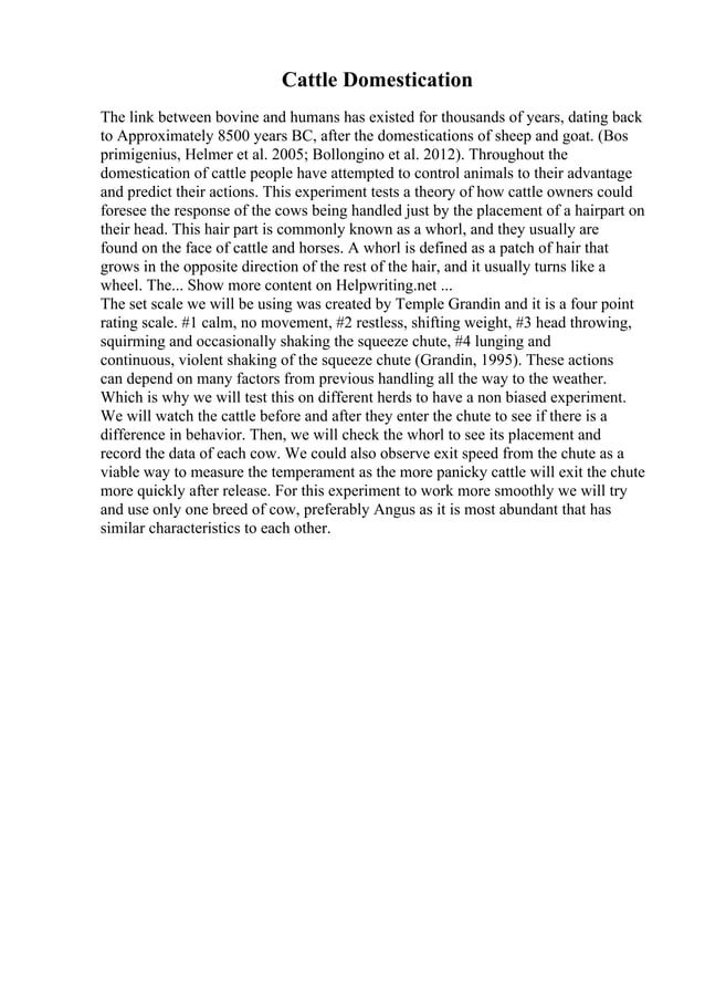 Narrative Interview Essay Example. Narrative interview assignment ...