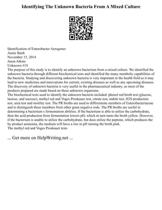 Identifying The Unknown Bacteria From A Mixed Culture
Identification of Enterobacter Aerogenes
Annie Banh
November 15, 2014
Jason Atkins
Unknown #19
The purpose of this study is to identify an unknown bacterium from a mixed culture. We identified the
unknown bacteria through different biochemical tests and identified the many metabolic capabilities of
the bacteria. Studying and discovering unknown bacteria is very important in the health field as it may
lead to new medicines and innovations for current, existing diseases as well as any upcoming diseases.
The discovery of unknown bacteria is very useful in the pharmaceutical industry, as most of the
products prepared are made based on these unknown organisms.
The biochemical tests used to identify the unknown bacteria included: phenol red broth test (glucose,
lactose, and sucrose), methyl red and Voges Proskauer test, citrate test, indole test, H2S production
test, urea test and motility test. The PR broths are used to differentiate members of Enterobacteriaceae
and to distinguish these members from other gram negative rods. The PR broths are useful in
determining a bacterium s fermentation abilities. If the bacterium is able to utilize the carbohydrate,
then the acid production from fermentation lowers pH, which in turn turns the broth yellow. However,
if the bacterium is unable to utilize the carbohydrate, but does utilize the peptone, which produces the
by product ammonia, the medium will have a rise in pH turning the broth pink.
The methyl red and Voges Proskauer tests
... Get more on HelpWriting.net ...
 