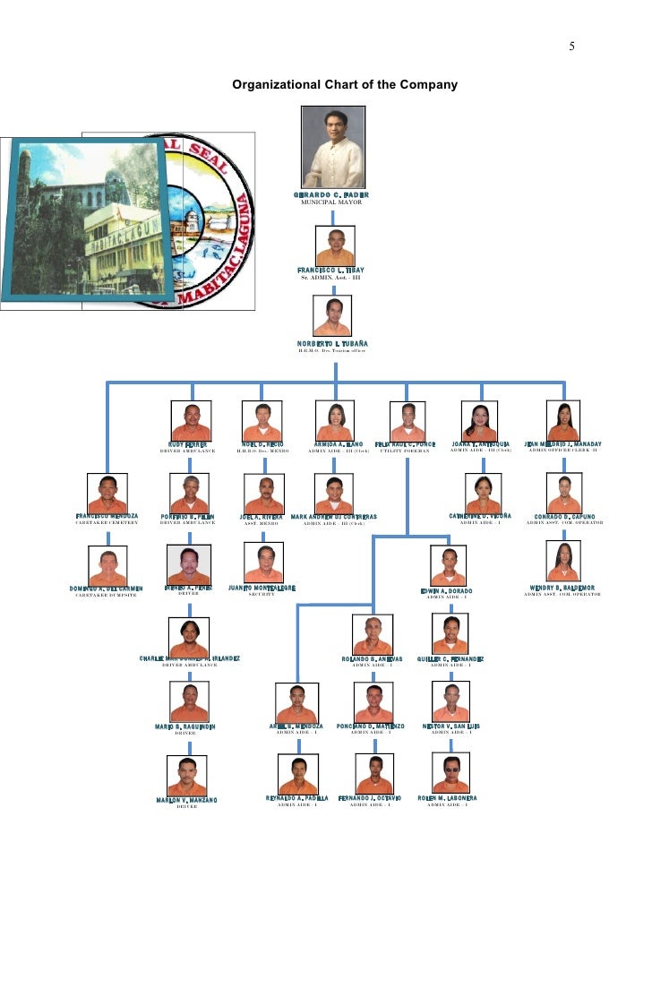 Shakey S Organizational Chart