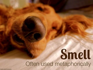 Smell
Often used metaphorically
Andrew Morrell Photography

 