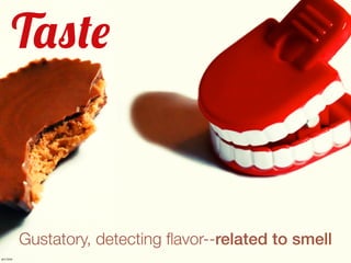 Taste



          Gustatory, detecting ﬂavor--related to smell
ani-bee
 