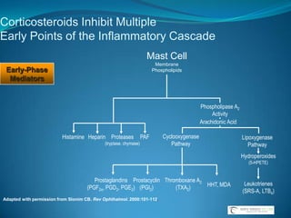 Relative Pupillary Block 
