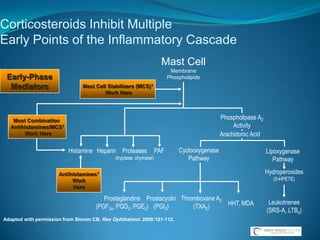 Plateau IrisNot all angle-closure is caused by relative pupillary blockPatients with plateau iris tend to be female, in their 30-50s, hyperopic, and often have a family history of angle-closure glaucomaSlit lamp examination of patients with plateau iris usually shows normal anterior chamber depth with a flat or slightly convex iris surface. On gonioscopy, the angle is extremely narrowed or closed, with a sharp drop-off of the peripheral iris.