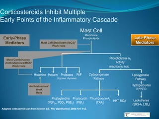 Plateau IrisPlateau Iris is due to anteriorly positioned ciliary processes, which hold the peripheral iris forwardThe anteriorly placed ciliary body forces the peripheral iris into the angle.In Plateau Iris, the angle remains occludable with a patent iridotomy