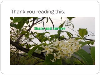 Thank you reading this.
 