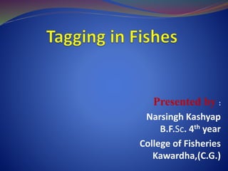 Presented by :
Narsingh Kashyap
B.F.Sc. 4th year
College of Fisheries
Kawardha,(C.G.)
 