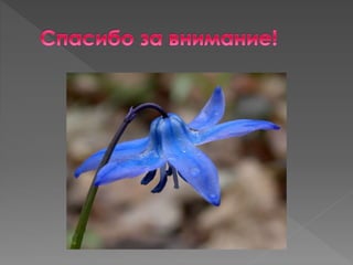 Narusheniya krovoobrasheniya