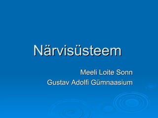 Närvisüsteem   Meeli Loite Sonn Gustav Adolfi Gümnaasium 