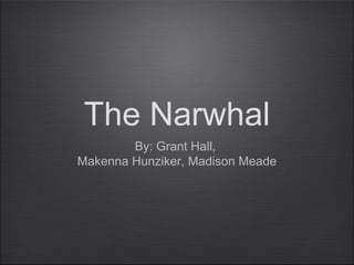 The Narwhal
        By: Grant Hall,
Makenna Hunziker, Madison Meade
 